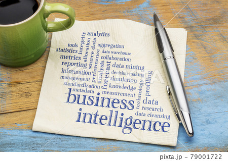 business intelligence word cloud 79001722