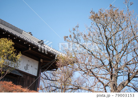 足立区立都市農業公園／東京都足立区鹿浜 79003153