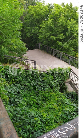 an old concrete staircase overgrown with grass an old concrete staircase overgrown with grass 79003346