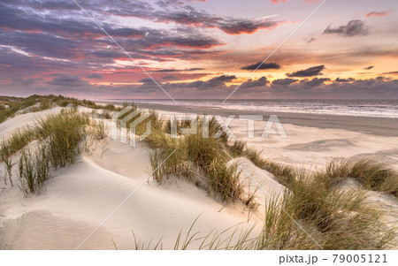 View from dune top over North Sea 79005121