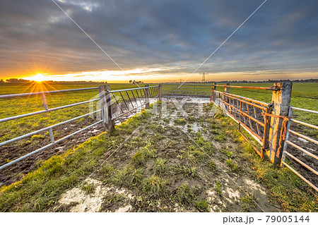 Sunset over gate in lowland meadow Sunset over gate in lowland meadow 79005144