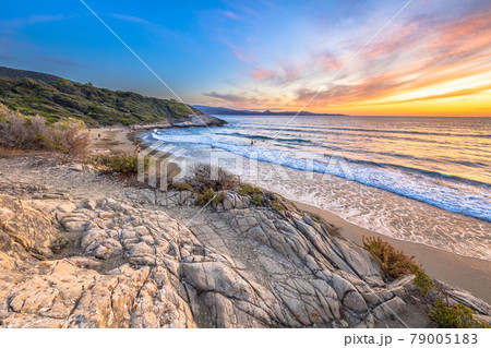 Coastal vegetation Cap Corse 79005183
