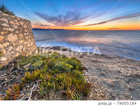 Coastal vegetation Cap Corse Coastal vegetation Cap Corse 79005184