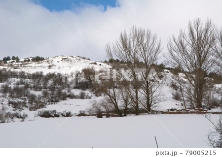 Snowy and cold mountain forest landscape Snowy and cold mountain forest landscape 79005215