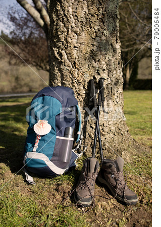 Backpack with seashell symbol of Camino de Santiago, trekking boots and poles leaning on a tree. Pilgrimage to Santiago de Compostela 79006484