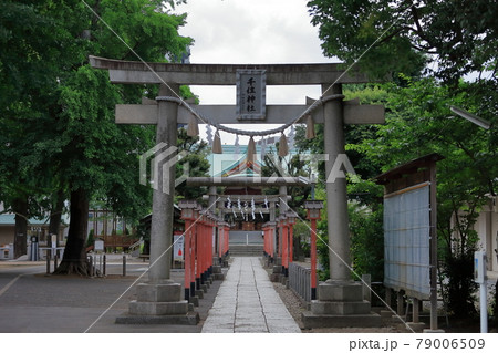 千住神社（東京都足立区） 79006509