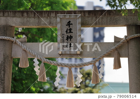 千住神社（東京都足立区） 79006514