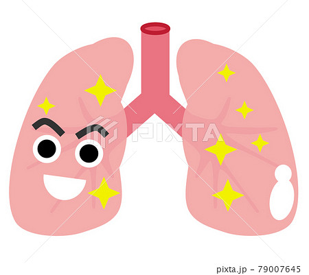 人体の健康的で綺麗な肺のイラストのイラスト素材