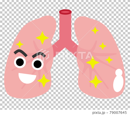 人体の健康的で綺麗な肺のイラスト 人体の健康的で綺麗な肺のイラスト 79007645