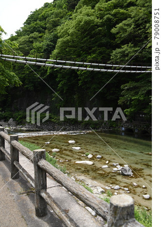男鹿川 川治ふれあい公園付近 遊歩道周辺の景色 川治温泉 日光市 男鹿川 川治ふれあい公園付近 遊歩道周辺の景色 川治温泉 日光市 79008751