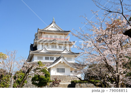 春の千葉城 79008851