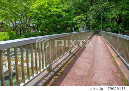男鹿川　薬師橋　川治ふれあい公園付近　遊歩道周辺の景色　川治温泉　日光市　　　　　 79009133