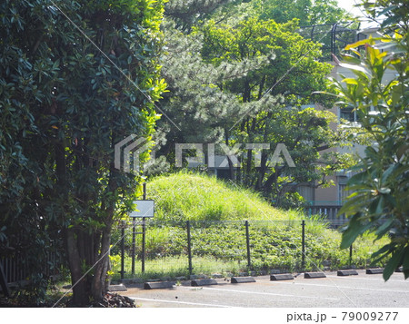 井草富士塚 79009277