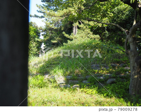 井草富士塚 79009278