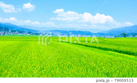 夏の田園風景 79009513