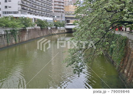 五反田　目黒川 79009846