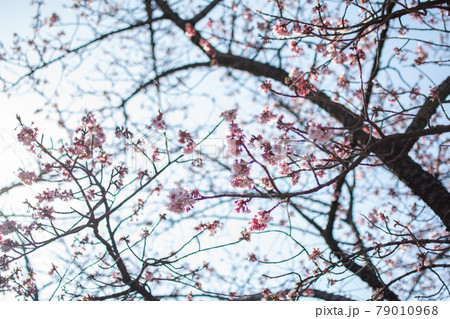 足立区立都市農業公園／東京都足立区鹿浜 79010968