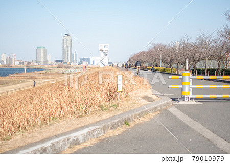 荒川土手/東京都足立区鹿浜 荒川土手/東京都足立区鹿浜 79010979