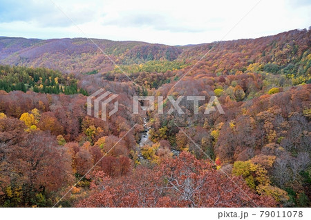 城ヶ倉大橋から見おろす絶景の紅葉情景@青森 城ヶ倉大橋から見おろす絶景の紅葉情景@青森 79011078