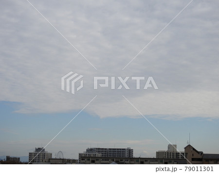 青空 79011301