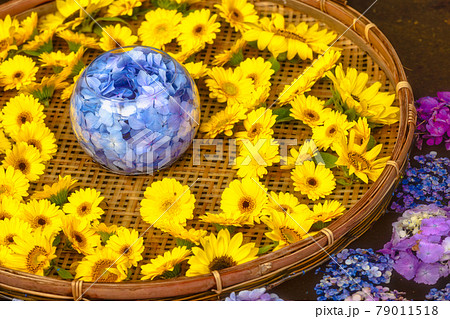 山崎八幡宮（山口県周南市） 79011518