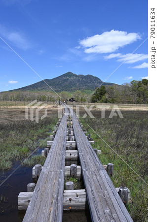 尾瀬ヶ原の木道の先に燧岳 79011634