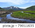 水芭蕉と残雪の至仏山の絶景 79011635