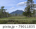 尾瀬ヶ原の山の鼻からの燧岳 79011835