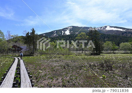 山の鼻に至る木道上の至仏山 79011836