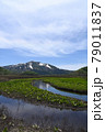 至仏山と池塘と水芭蕉の揃い踏み 79011837