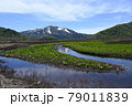 前景に水芭蕉を配した至仏山 79011839