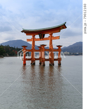 厳島神社の大鳥居 79012160