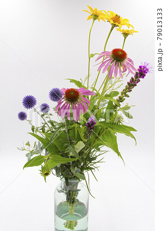 初夏のカラフルな花たち 初夏のカラフルな花たち 79013133
