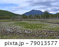 燧岳前に広がる水芭蕉群生地 79013577