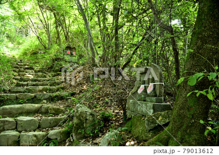 岩戸山 十三仏登山道の石仏 【滋賀県近江八幡市】 岩戸山 十三仏登山道の石仏 【滋賀県近江八幡市】 79013612