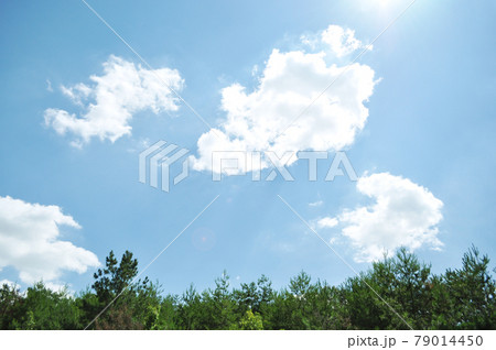 空 79014450