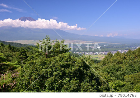 夏の山梨県忍野村 夏の山梨県忍野村 79014768