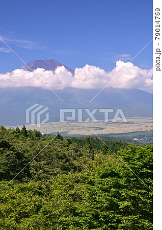 夏の山梨県忍野村 79014769