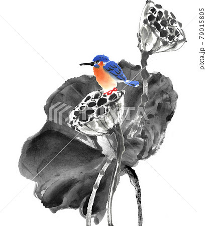 水墨画技法で描かれた枯れ蓮とカワセミのイラスト素材 [79015805