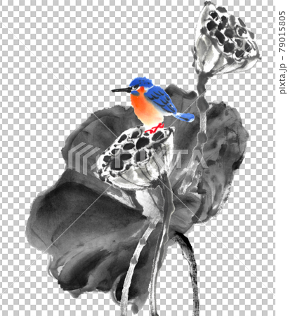 水墨畫法繪製的枯蓮和翠鳥 水墨畫法繪製的枯蓮和翠鳥 79015805