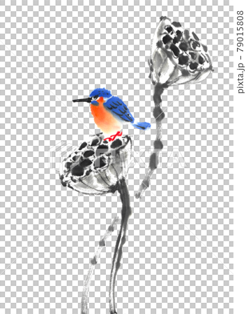 Withered lotus seeds and kingfishers drawn by ink painting technique 79015808
