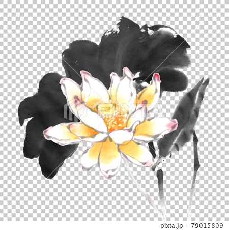水墨画技法で描かれた蓮の花と葉のイラスト素材