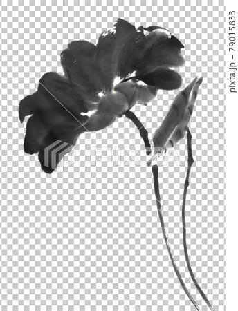 水墨畫法繪製荷葉 79015833