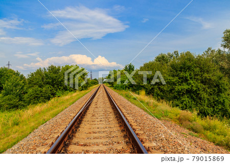 Railroad track through a green pine forest Railroad track through a green pine forest 79015869