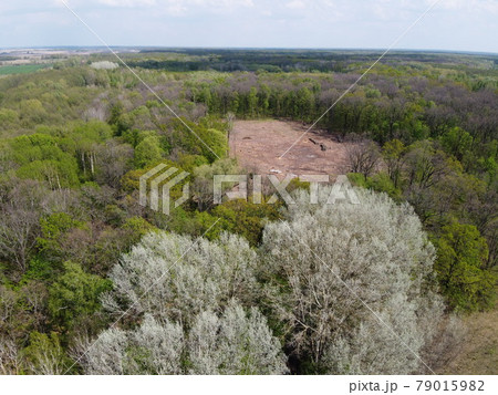 A place of felling, aerial view. Devastated land, clearing. A place of felling, aerial view. Devastated land, clearing. 79015982