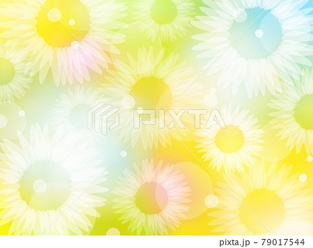 【夏素材】きらきらひまわりの背景 花びら 【夏素材】きらきらひまわりの背景 花びら 79017544