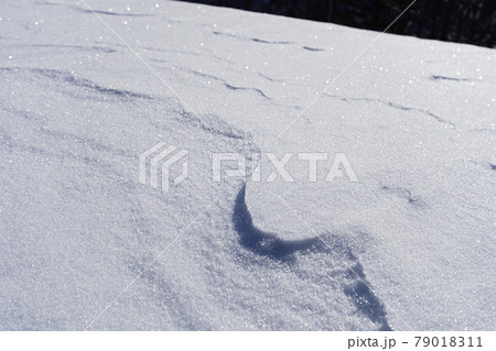 冬期に高山の雪面に見られる風紋シュカブラ 79018311
