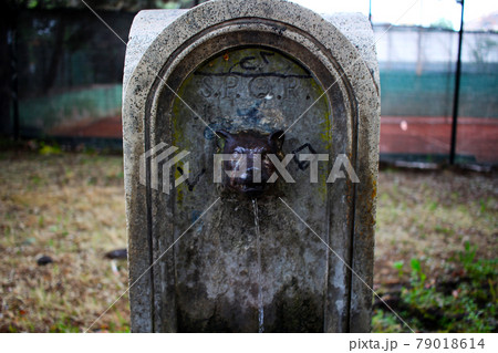 狼の水道　イタリア・ローマ 79018614