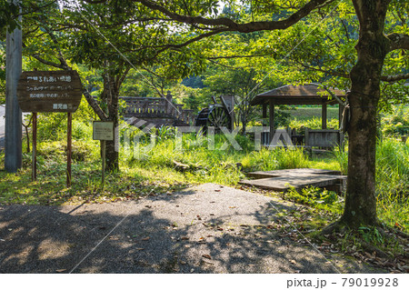 常盤ふれあい緑地 常盤ふれあい緑地 79019928