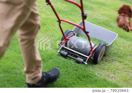芝刈り 79020663